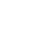 Evolution games at Dozen Spins Casino